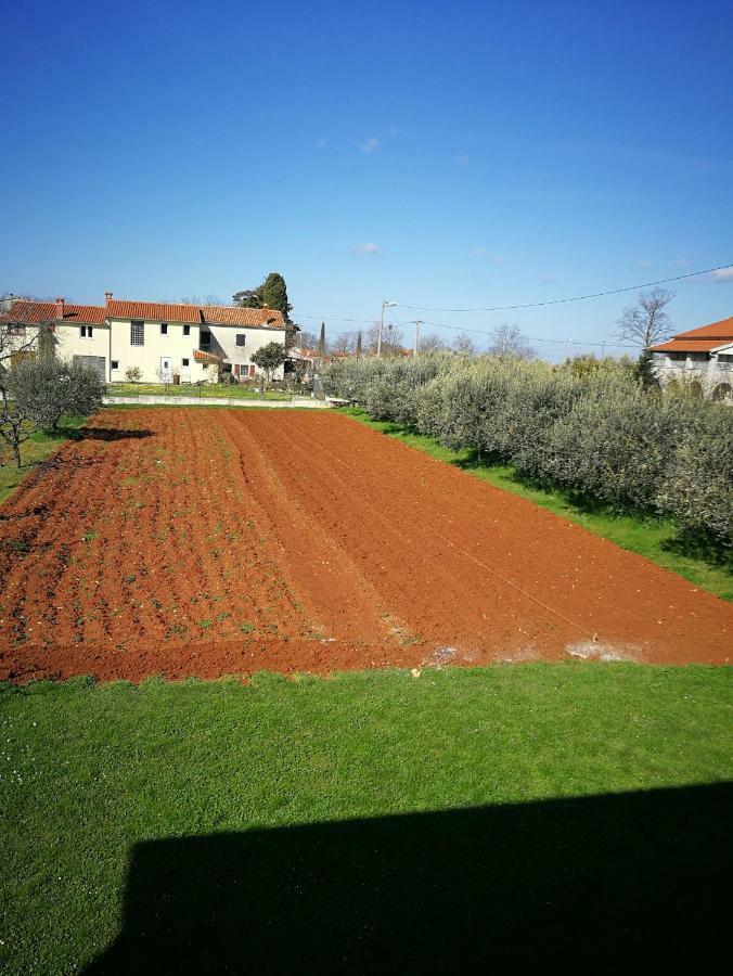 Ljubica Apartamento Žbandaj Exterior foto